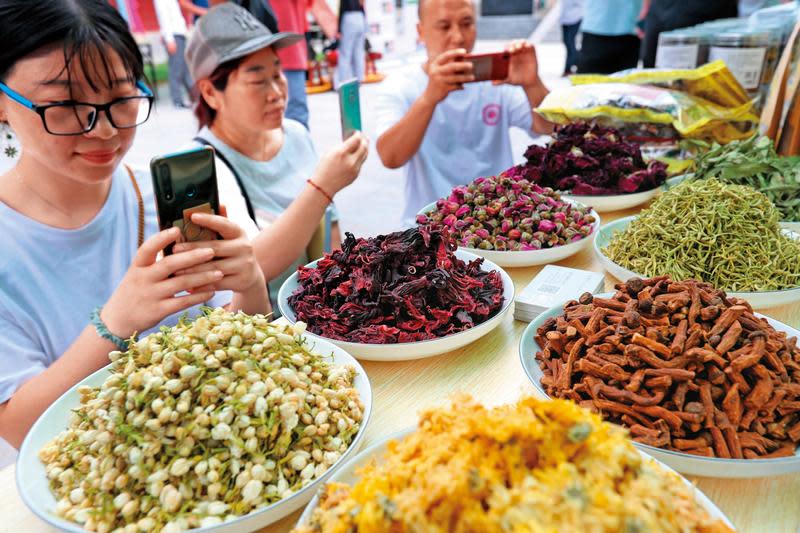 清冠一號掀熱潮，連防疫茶、類清冠也大賣，台廠打鐵趁熱走出海外，大啖全球兆元植物藥商機。（東方IC）