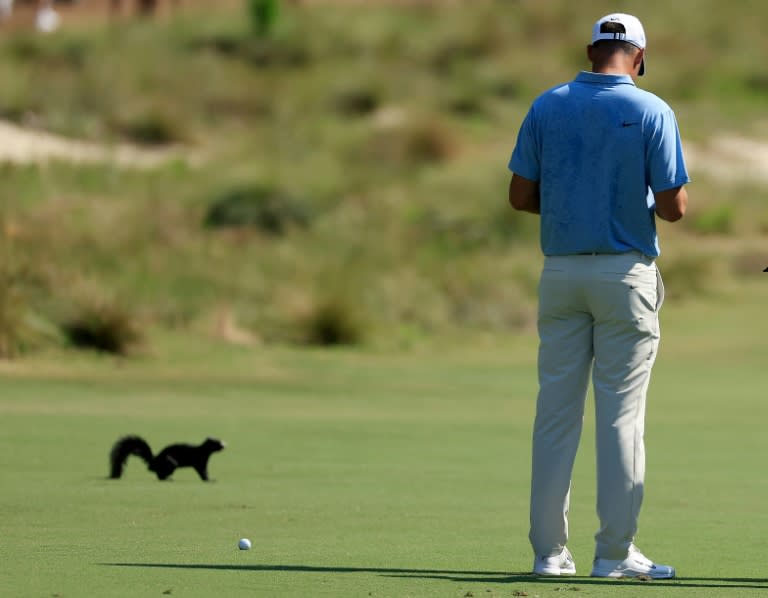 Top-ranked Scottie Scheffler waits for a squirrel to cross his path before playing his second shot at the first hole in the third round of the US Open at Pinehurst (DAVID CANNON)