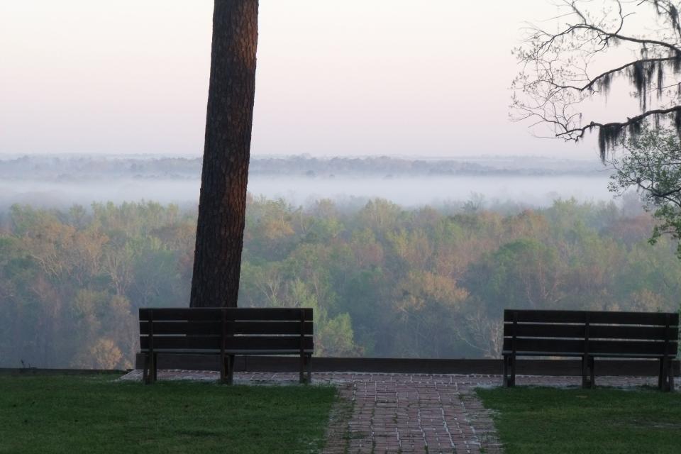 Florida: Torreya State Park