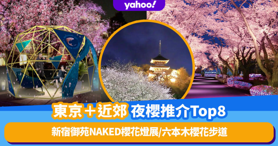 日本櫻花2023｜東京＋近郊夜櫻推介Top8！ 新宿御苑NAKED櫻花燈展/六本木櫻花步道/江戶櫻通粉紅點燈