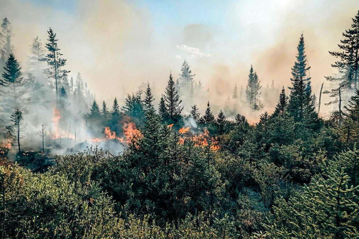 Cette photo, publiée par la Société de protection des forêts (SOPFEU), montre un violent incendie dans la province de Québec en juillet 2023  - Credit:JESSE LARRIVIERE / Societe De Protection Des Forets / AFP