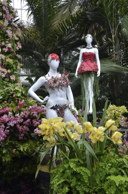 A fashion-creation inspired by nature from Dauphinette designer Olivia Cheng in "The Orchid Show: Florals in Fashion" at The New York Botanical Garden, Saturday, Feb. 17, 2024, in the Bronx borough of New York. The mannequin's dress in back has green decorative elements that are beetles with hanging Senecio peregrinus "String of Dolphins" succulents. The plant based outfits are made from living material. (AP Photo/Pamela Hassell)