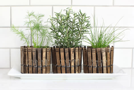 Clothespin Herb Planters