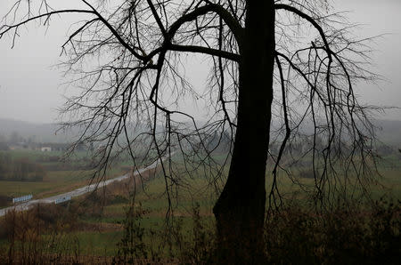 General view from the church on the road between Sulmice and Kalinowka, Poland November 25, 2018. REUTERS/Kacper Pempel/Files