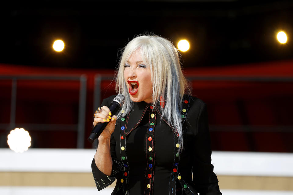 Cyndi Lauper  (John Lamparski / Getty Images)