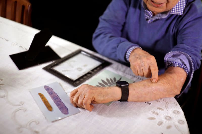 Holocaust survivor Avraham Harshalom, 95, shows a framed and displayed strip of his skin tattooed with the Auschwitz death camp number during an interview with Reuters at his home in Ramat Gan, Israel