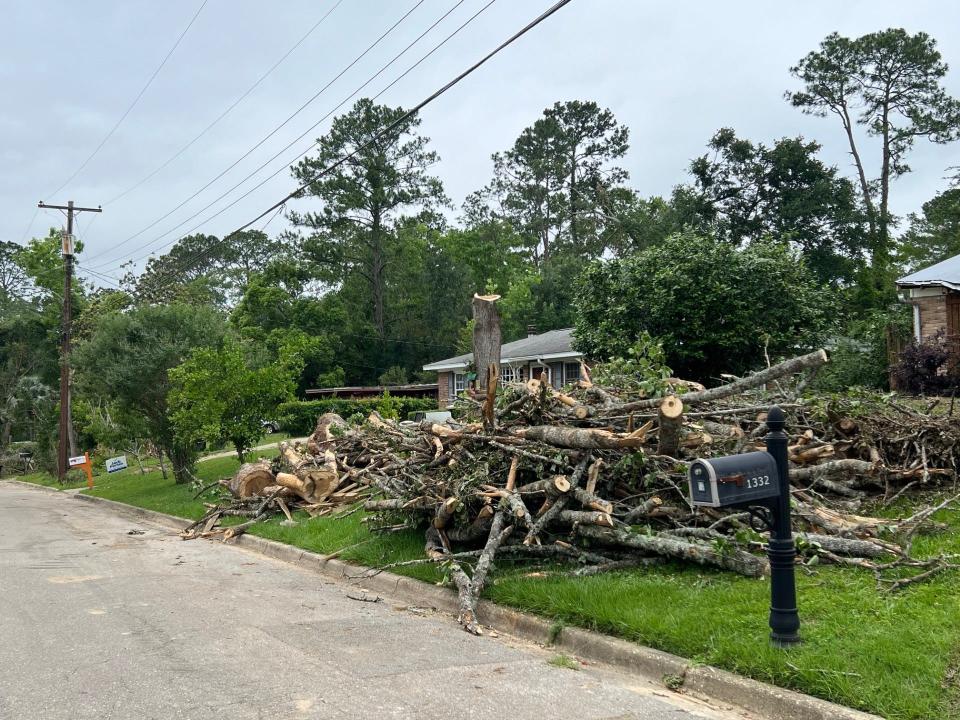 Tree debris outside the Fore household following Tallahassee's Friday, May 10, 2024, storm.