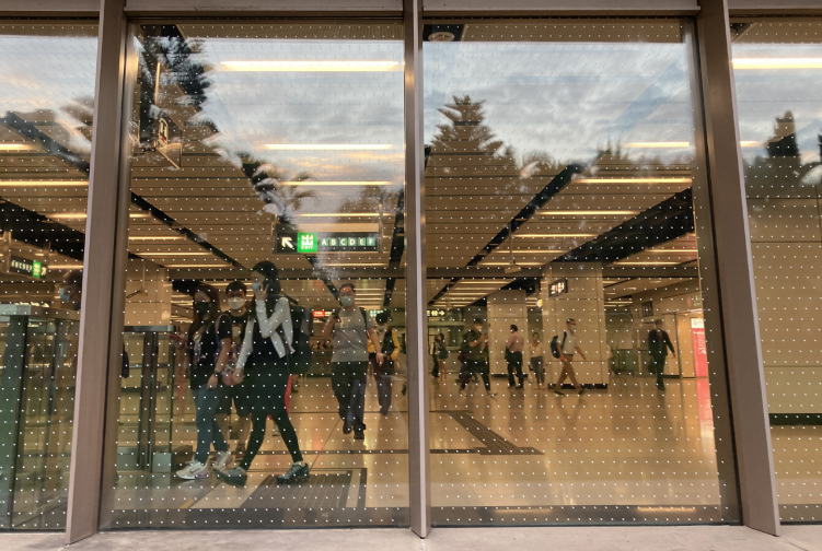 美孚港鐵站曾發生多宗鳥撞事故，後來港鐵於該站玻璃牆貼上防撞貼紙，便沒發生鳥撞。（圖片來源: 香港觀鳥會）