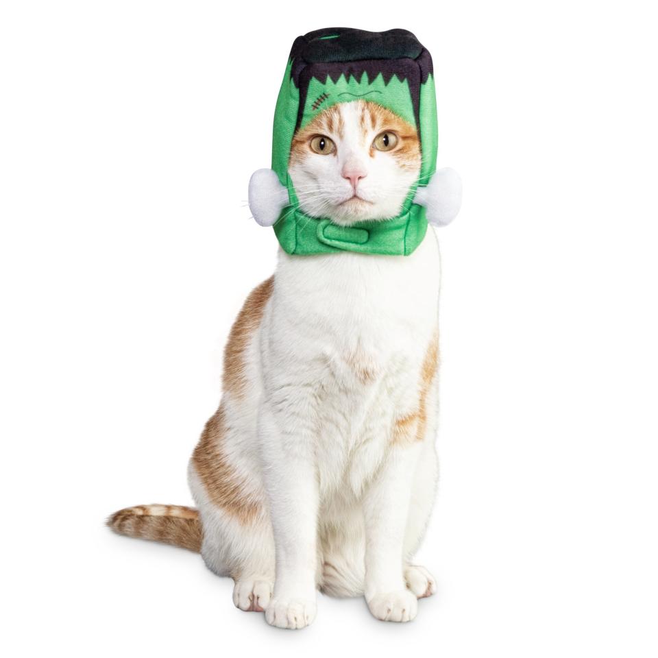 Franken-Kitty Cat Headpiece