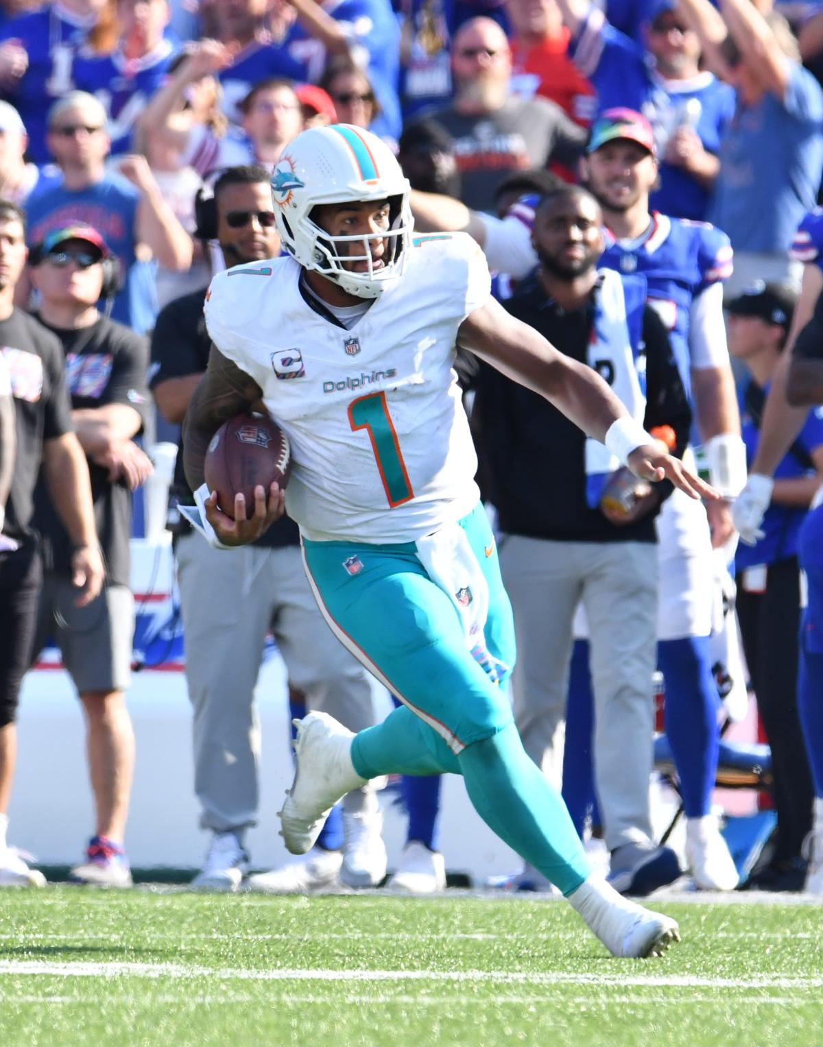 Wide receiver Jimmy Cefalo of the Miami Dolphins looks on from the