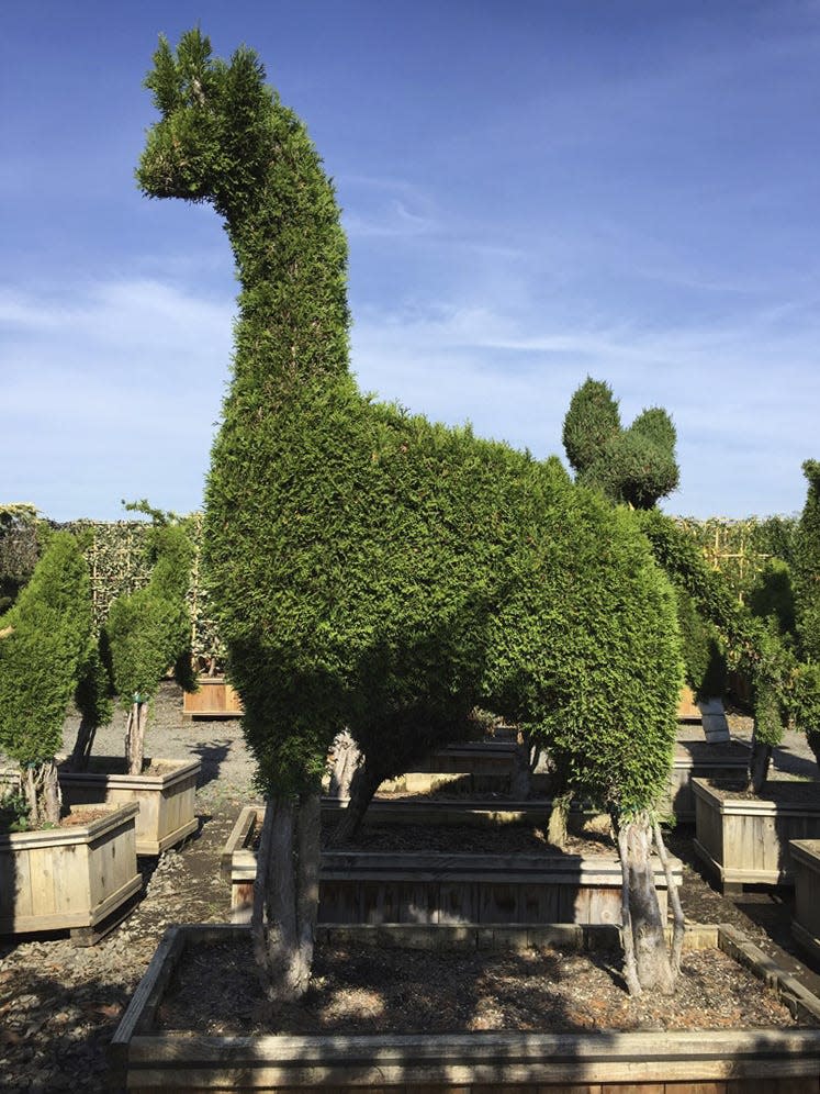 You can spot two 7-foot giraffe topiaries at the Indianapolis Zoo's new spring festival, xZOOberance.