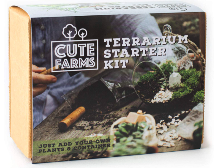 Terrarium Starter Kit B08JRR6278