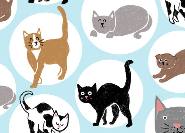 Cat Yowling: 7 Sounds Cats Make and What do They Mean? – Scratch