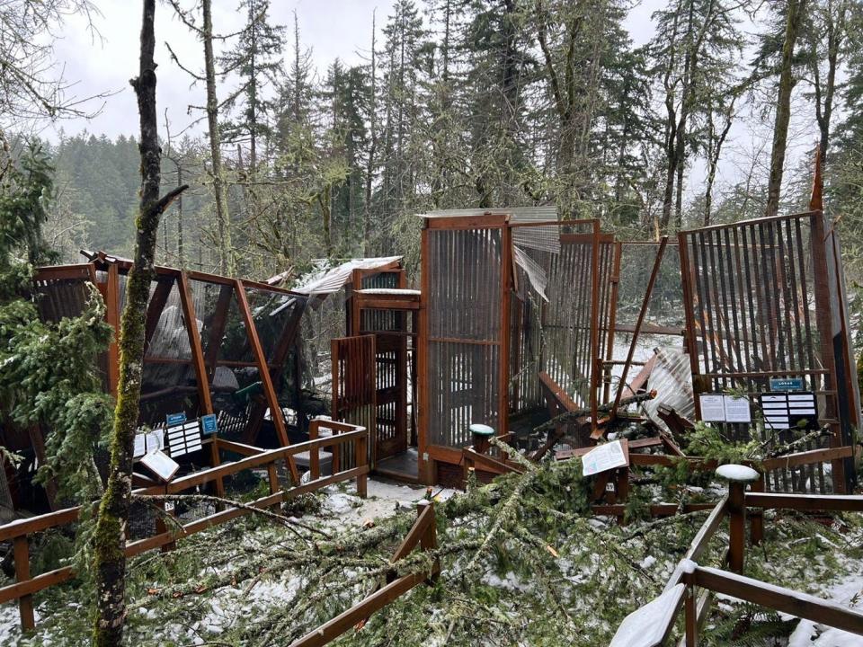 Bird enclosures lay in pieces at the Cascades Raptor Center on Jan. 12 in Eugene after an ice storm moved through the area.