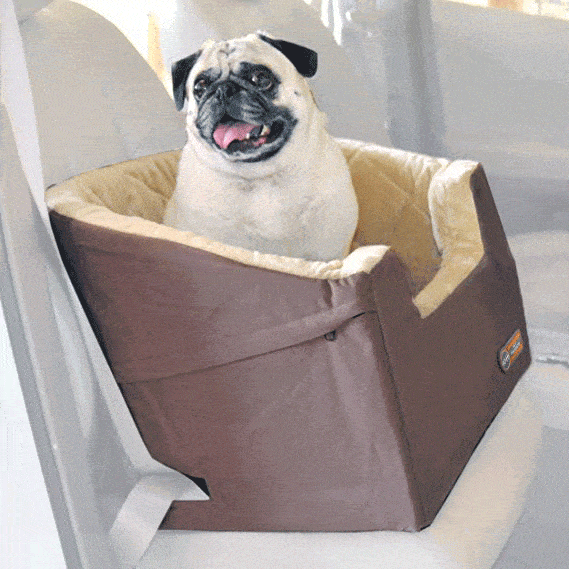 14) Bucket Booster Dog Car Seat