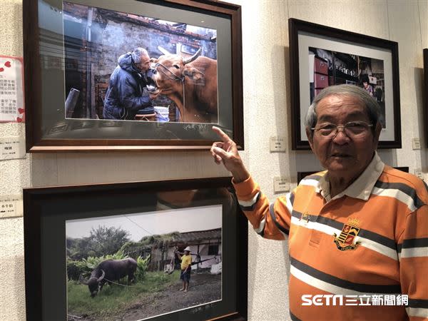 阿牛年老力衰，老農將牠送往台南安養中心，讓牠自由、好好度過晚年，分開那一天雙雙落淚道別；下圖為蔡孟興老師。（上圖／蔡孟興老師攝影、授權提供；下圖／記者張雅筑攝）