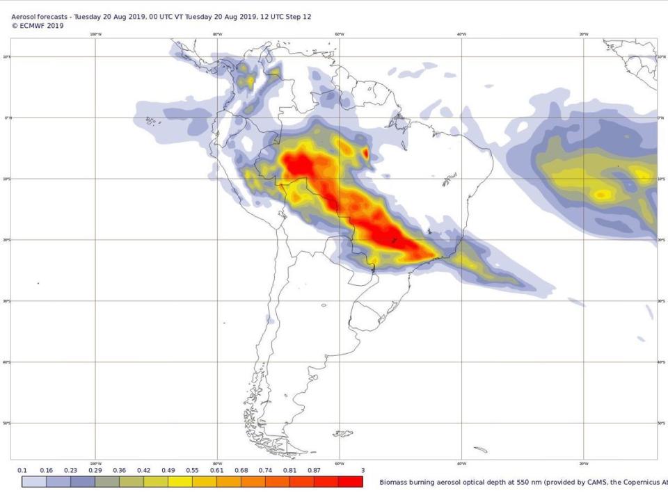 Amazon wildfires