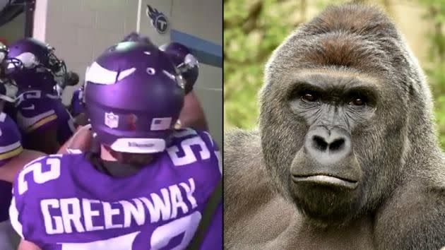 Vikings players in the tunnel (left) Harambe (right). Source: Twitter