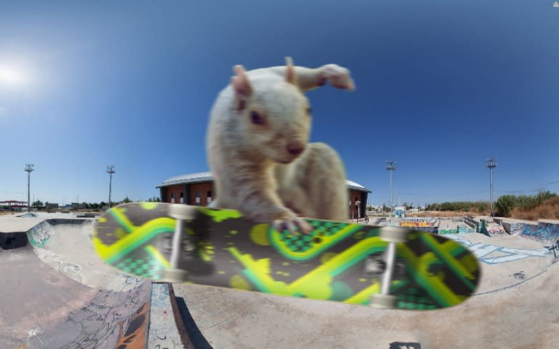 Por supuesto, la ardilla también podría parecer que andaba en patineta. Foto: Imgur.com/92KRfMM