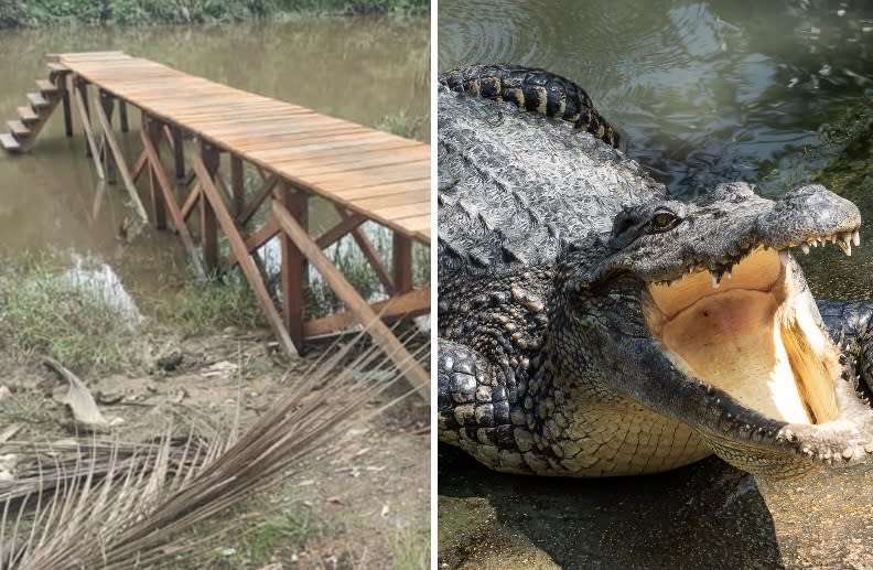 RM50,000 wooden jetty in Sarawak and a river crocodile. PHOTOS: JRK Sarawak (Facebook)/Getty Images