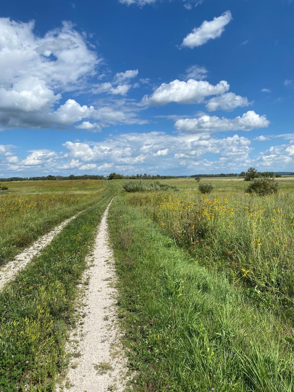 Main Dike Road across the Horicon National Wildlife Refuge is open to cyclists. It is a stunning ride.