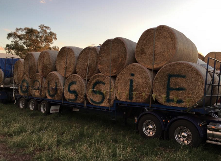 Aussie spirit! The hay runners are doing all they can to help drought-affected farmers. Photo: