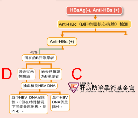 B肝表面抗原「陰轉」仍為帶原者仍須持續追蹤。