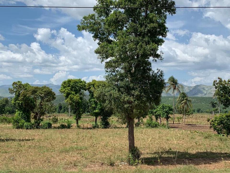 The area of Vye Bouk in Verrettes in Haiti’s Lower Artibonite Valley, where farmers are struggling to work the land and find enough to eat. Courtesy of Jacquis Adolphe