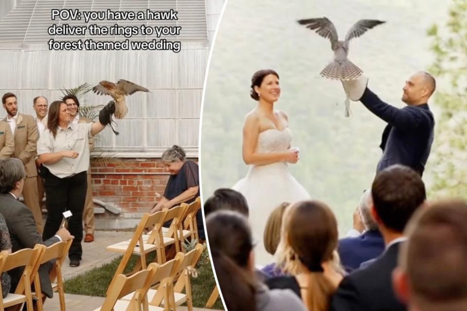Birds of prey including falcons, hawks, eagles and owls are serving as wedding ring bearers. rachelmaloneyphoto/Tiktok