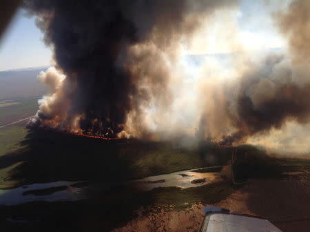 The Willow fire is shown burning across northwestern Arizona in this handout photo taken August 8, 2015 and released to Reuters August 10, 2015. REUTERS/Incident Air Attack/U.S. Forest Service/Handout via Reuters