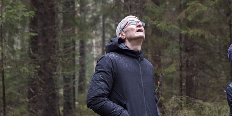 Tim Cook