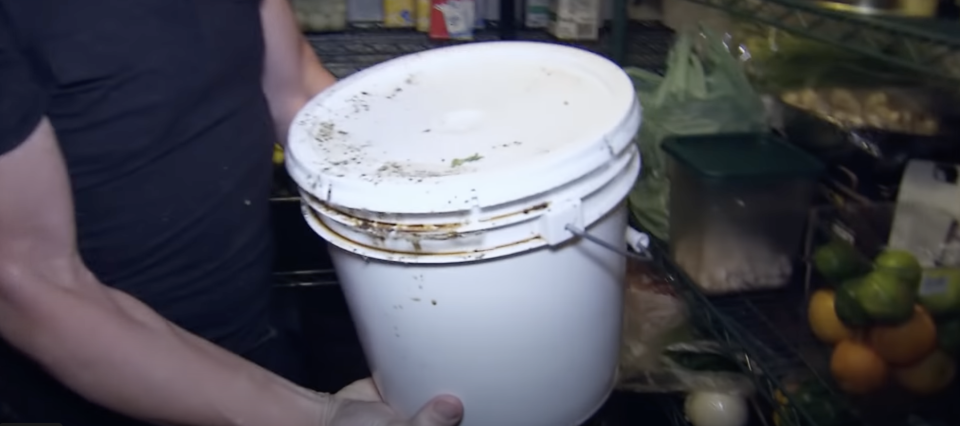 Gordon Ramsay is holding a bucket covered in mold