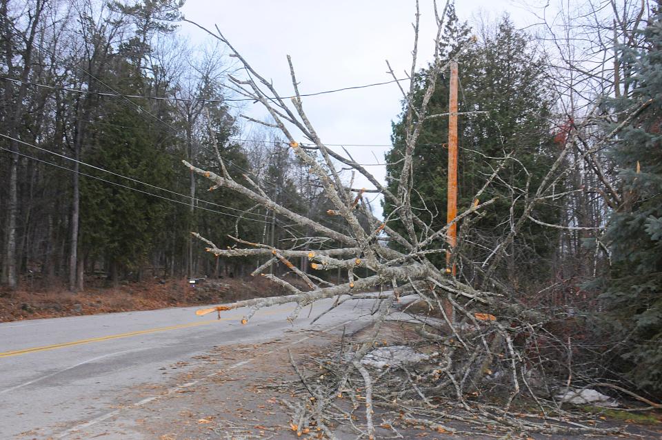 Tree branches lay on the ground in Sturgeon Bay, Wis., on Thursday, Dec. 16, 2021, following strong winds that passed through Wednesday night that left many trees and power lines down across Door County.