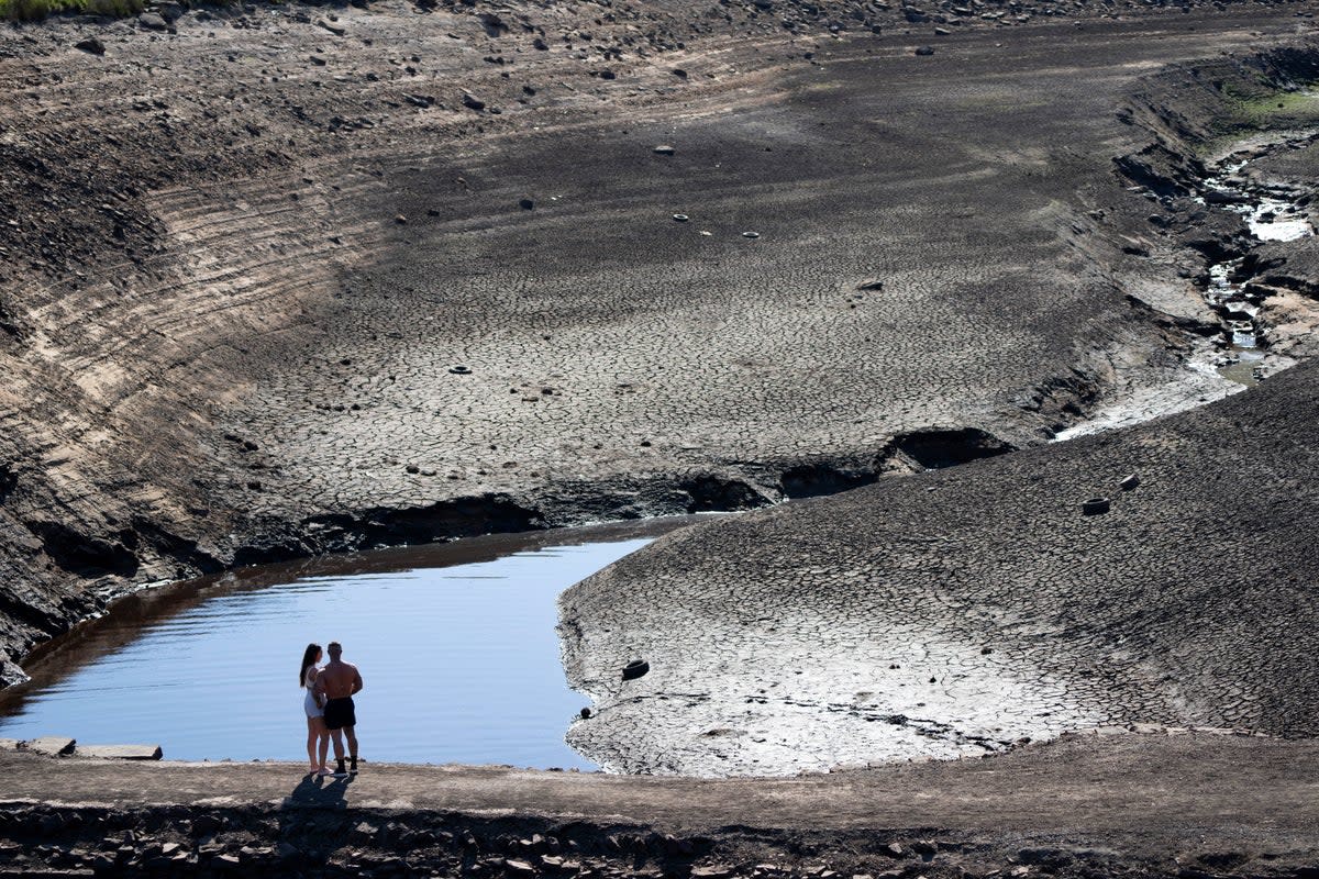 CAMBIO CLIMÁTICO-SEQUÍA (AP)