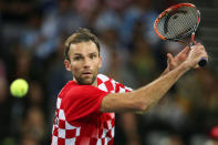 Tennis - Croatia v Argentina - Davis Cup Final - Arena Zagreb, Croatia - 25/11/16 Croatia's Ivo Karlovic in action during his match against Argentina's Juan Martin del Potro. REUTERS/Marko Djurica