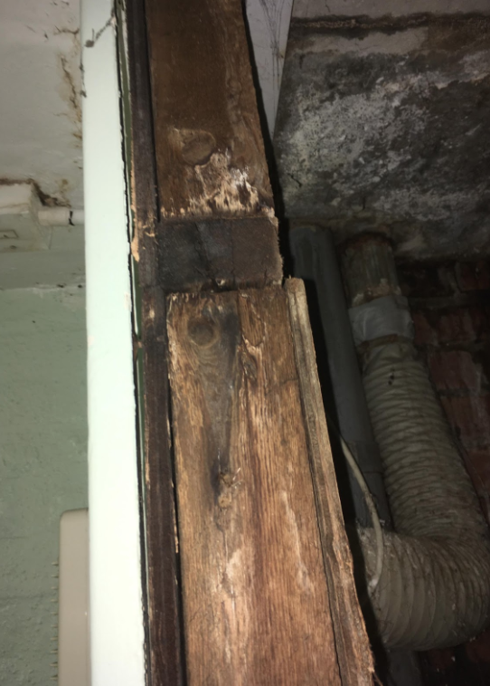 The damp wood was rotting and falling apart. (Zona Malik/Yahoo News UK)