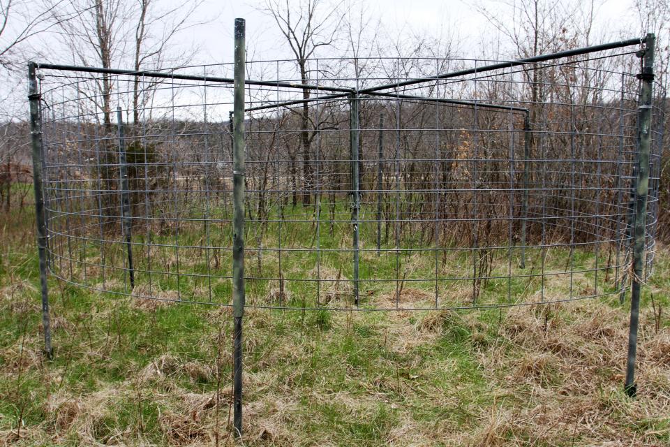 An example trap set up at Johnson's Shut-Ins State Park.