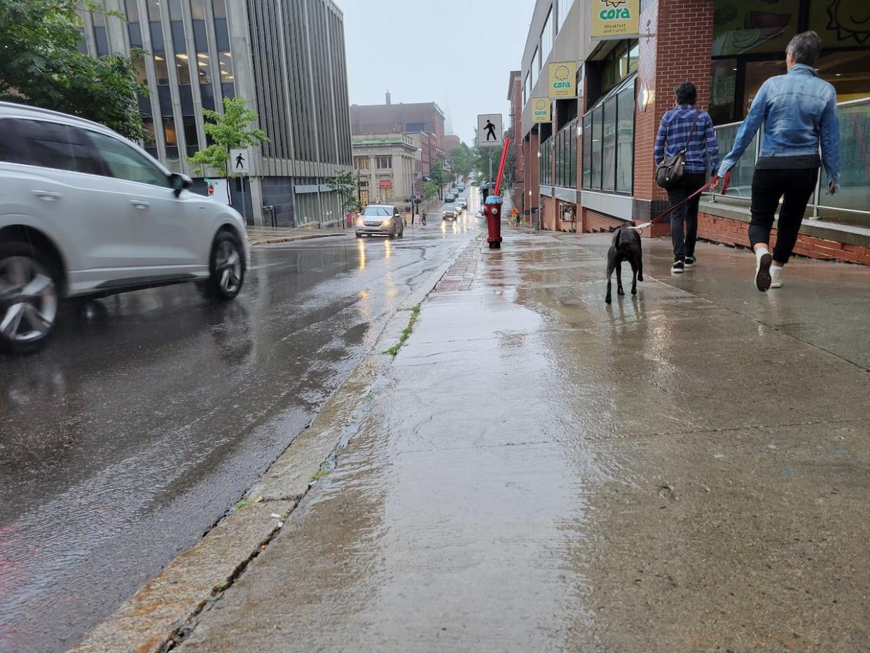 Fredericton, Saint John and Moncton are under a special weather atatement with rain, heavy at times, forecast for Friday evening into early Sunday morning. (Hadeel Ibrahim/CBC - image credit)