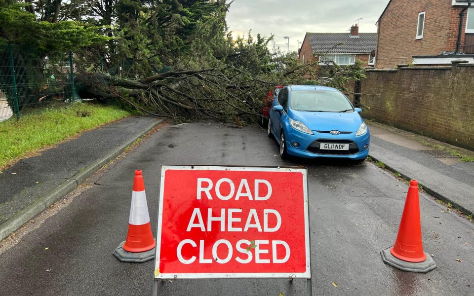 Flooding wasn't the only thing leaving roads impassable, as this fallen tree blocked traffic in Sompting, West Sussex