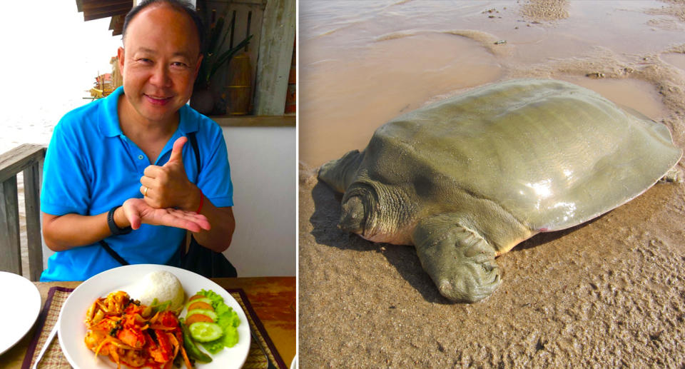 Two photos showing Australian ambassador Pablo Kang on the left, and an endangered softshell turtle on the right.