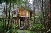 <p>Deep within a jungle landscape is this rustic treehouse, which offers a secluded place to truly get away from it all. The quirkiest feature of the home? The swinging bed suspended from the living space (which is way cooler than a porch swing). Less adventurous types will sleep soundly in the bedroom, which faces a wall of windows.</p><p><a class="link " href="https://www.airbnb.com/rooms/2615058?source_impression_id=p3_1595275505_UqWqATNxAGqusLu4&guests=1&adults=1" rel="nofollow noopener" target="_blank" data-ylk="slk:BOOK NOW;elm:context_link;itc:0;sec:content-canvas">BOOK NOW </a> <strong><em>Dreamy Tropical Treehouse</em></strong></p>