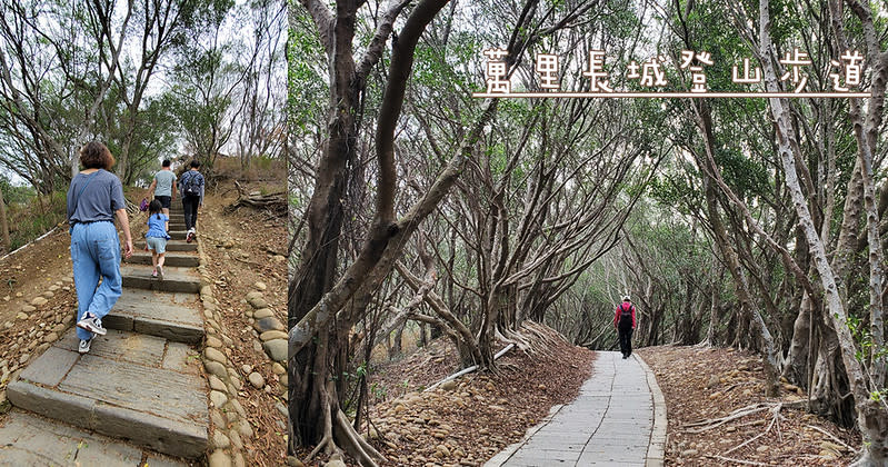 台中｜大肚山萬里長城登山步道