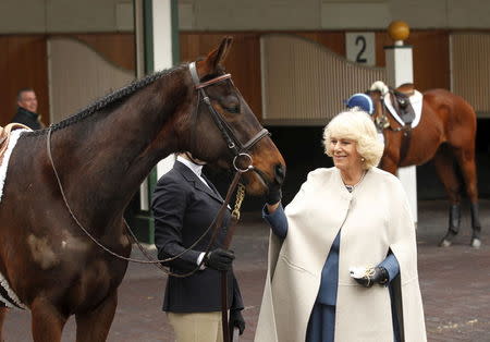 Camilla, Duchess of Cornwall looks over a retired race horse in the paddock at Churchill Downs, home of the Kentucky Derby horse race, during her visit in Louisville, Kentucky March 20, 2015. REUTERS/John Sommers II
