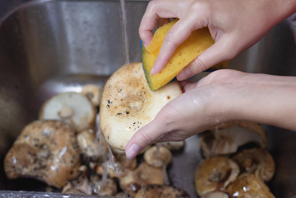 Scrubbing a mushroom with a sponge