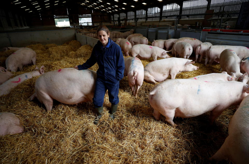 Farmer Kate Morgan stands with some of her breeding sows on her family pig farm near Driffield, Britain, October 12, 2021. REUTERS/Phil Noble