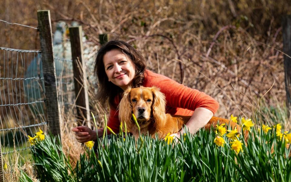 Flic Everett's cocker spaniels are her 'constant companions' -  Stuart Nicol/Stuart Nicol Photography