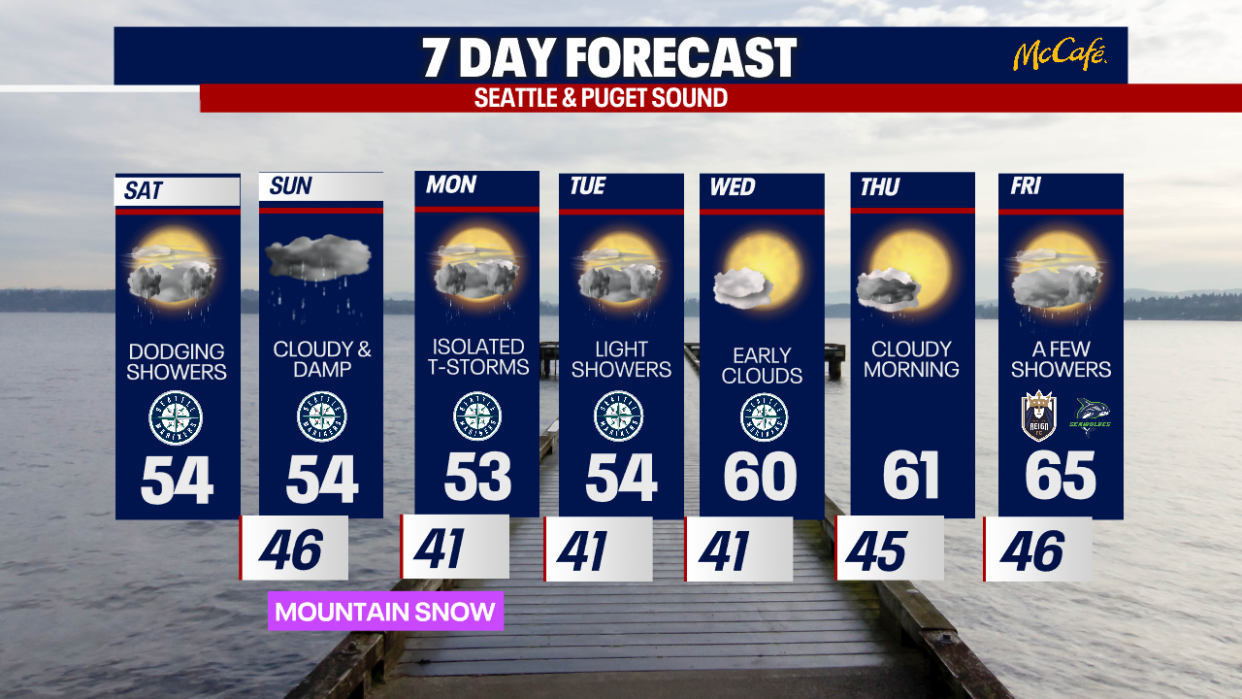 <div>7-day forecast in Seattle</div> <strong>(FOX 13 Seattle)</strong>