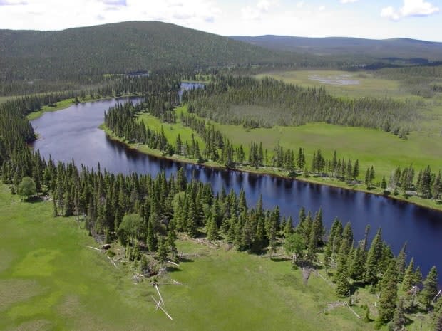 The stewardship agreement for the provincial park required a committee, including government representatives and locals, to meet once a year about park issues. Gale says the last time he took part in a meeting was 2011.