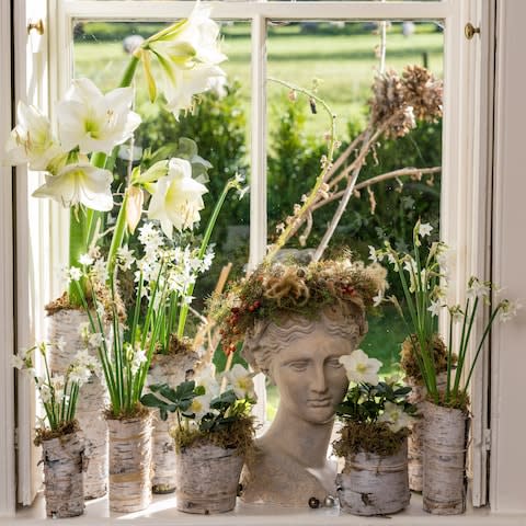 Birch pots and vases in the window - Credit: Andrew Crowley