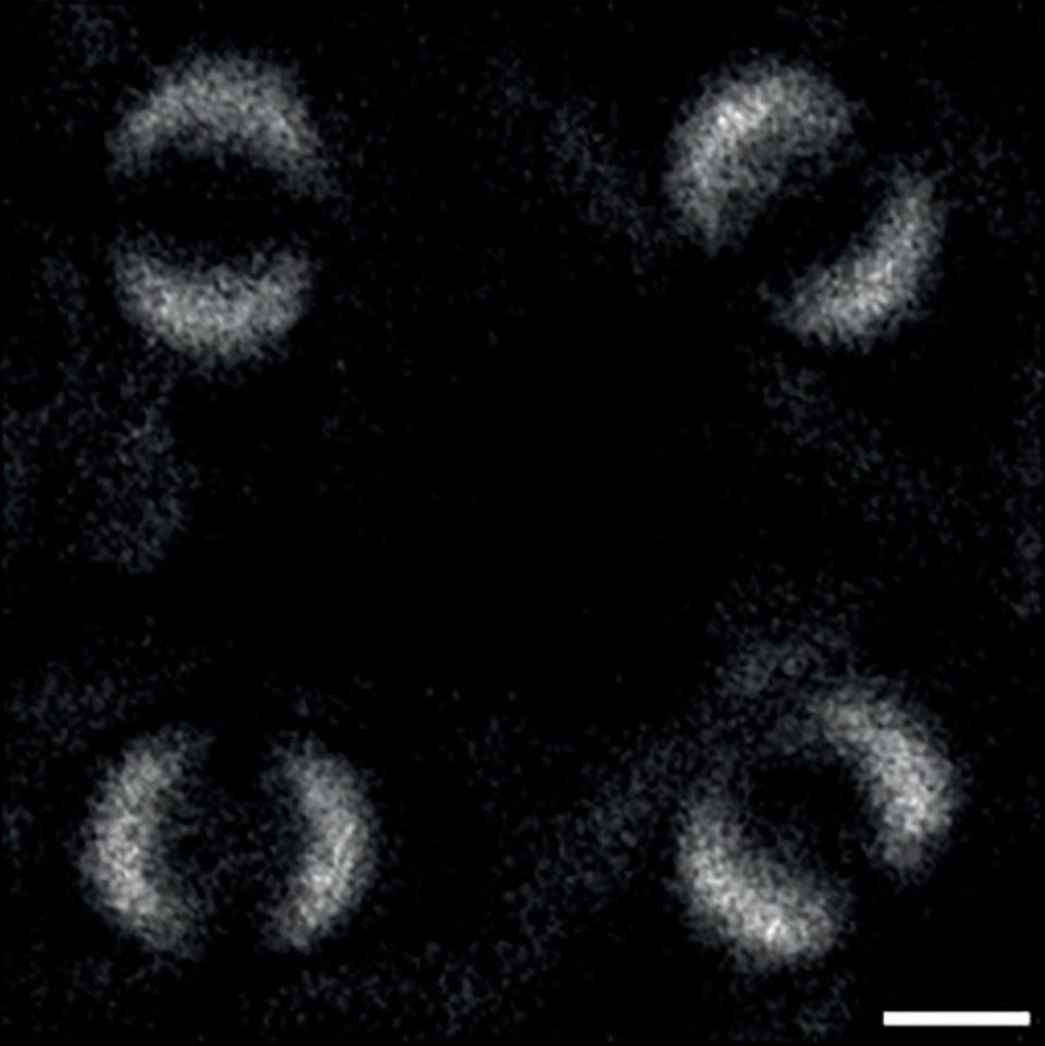 quantum entanglement image picture pa moreau et al science advances enlarged